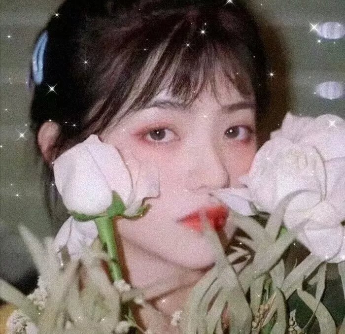 天下壮士麦当娜